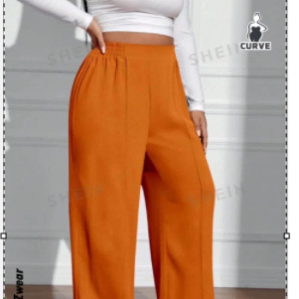 Plus Size Pants Pleated